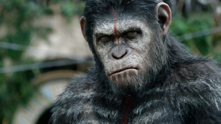 Llega nueva película de El Planeta de los Simios: Kingdom of the Planet of the Apes